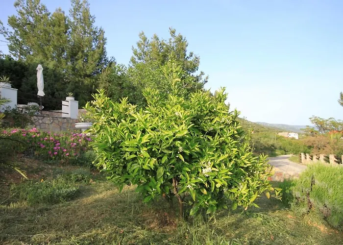 With A Parking Space Zavala, Hvar - 8706